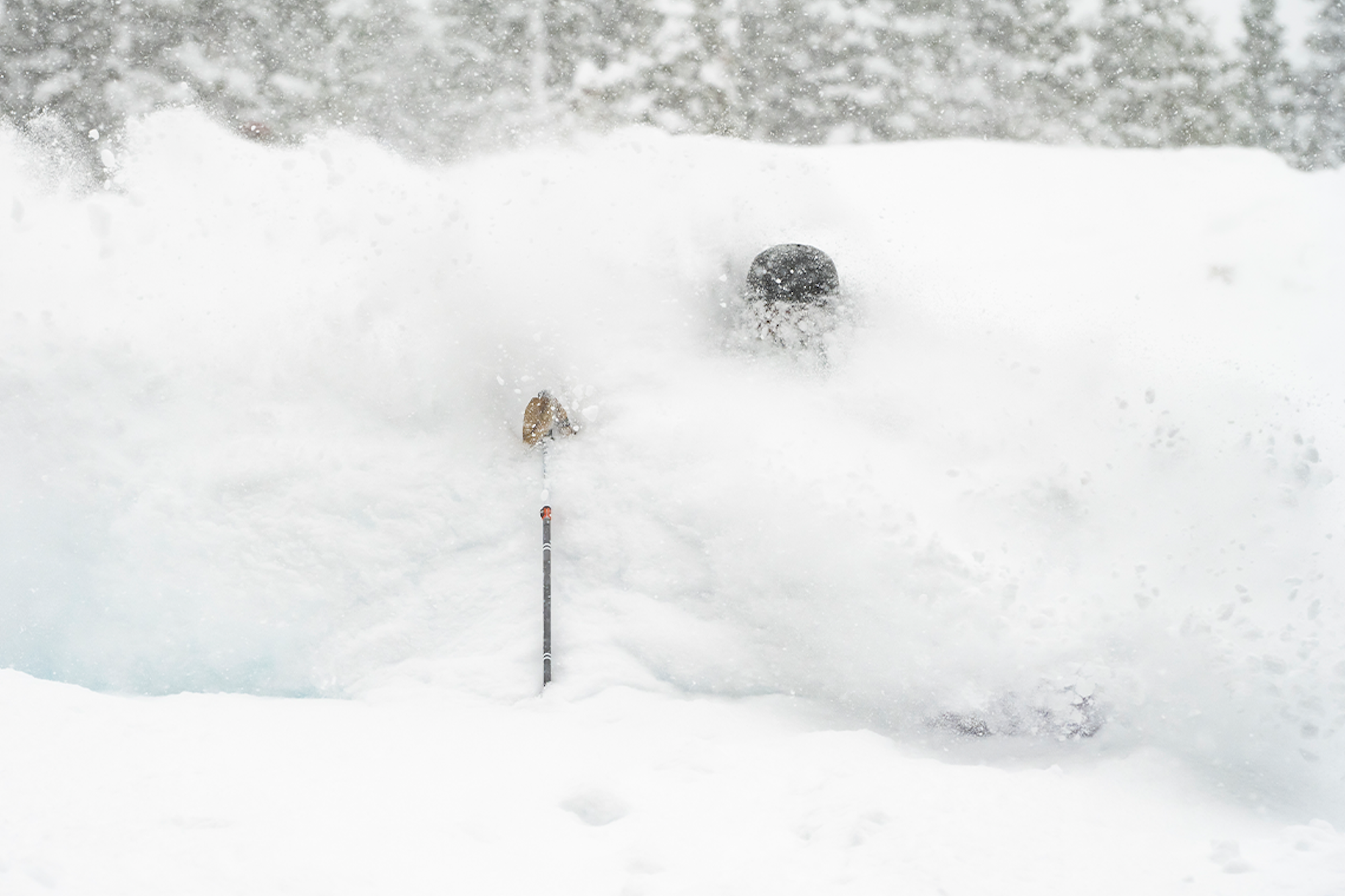 Powder Report from a Deep President's Day Weekend in Crested Butte