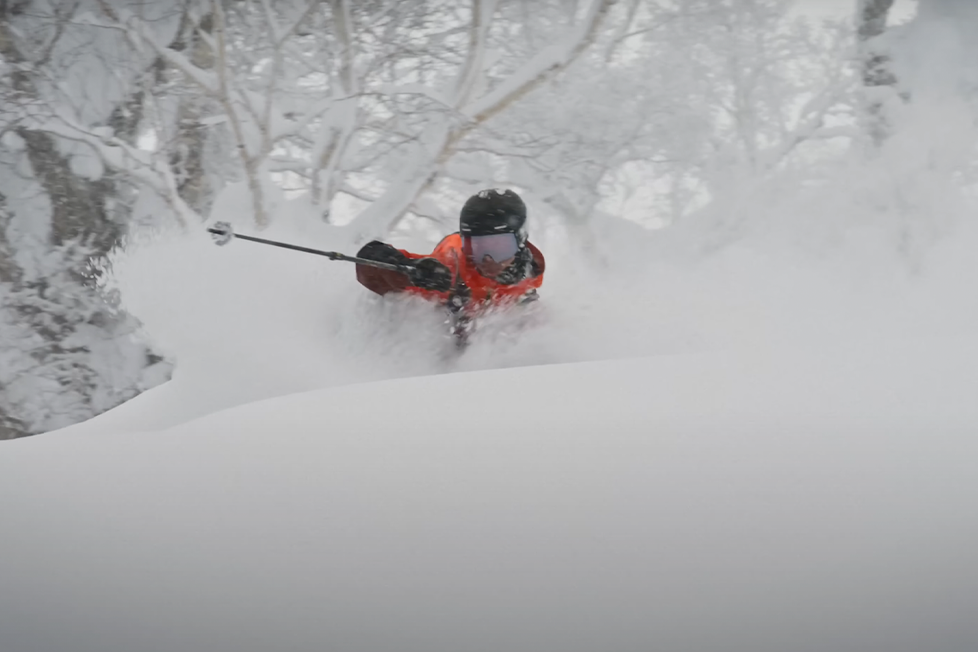 "Camp Blank" – The Blank Collective Drops 2024 Full-Length Offering