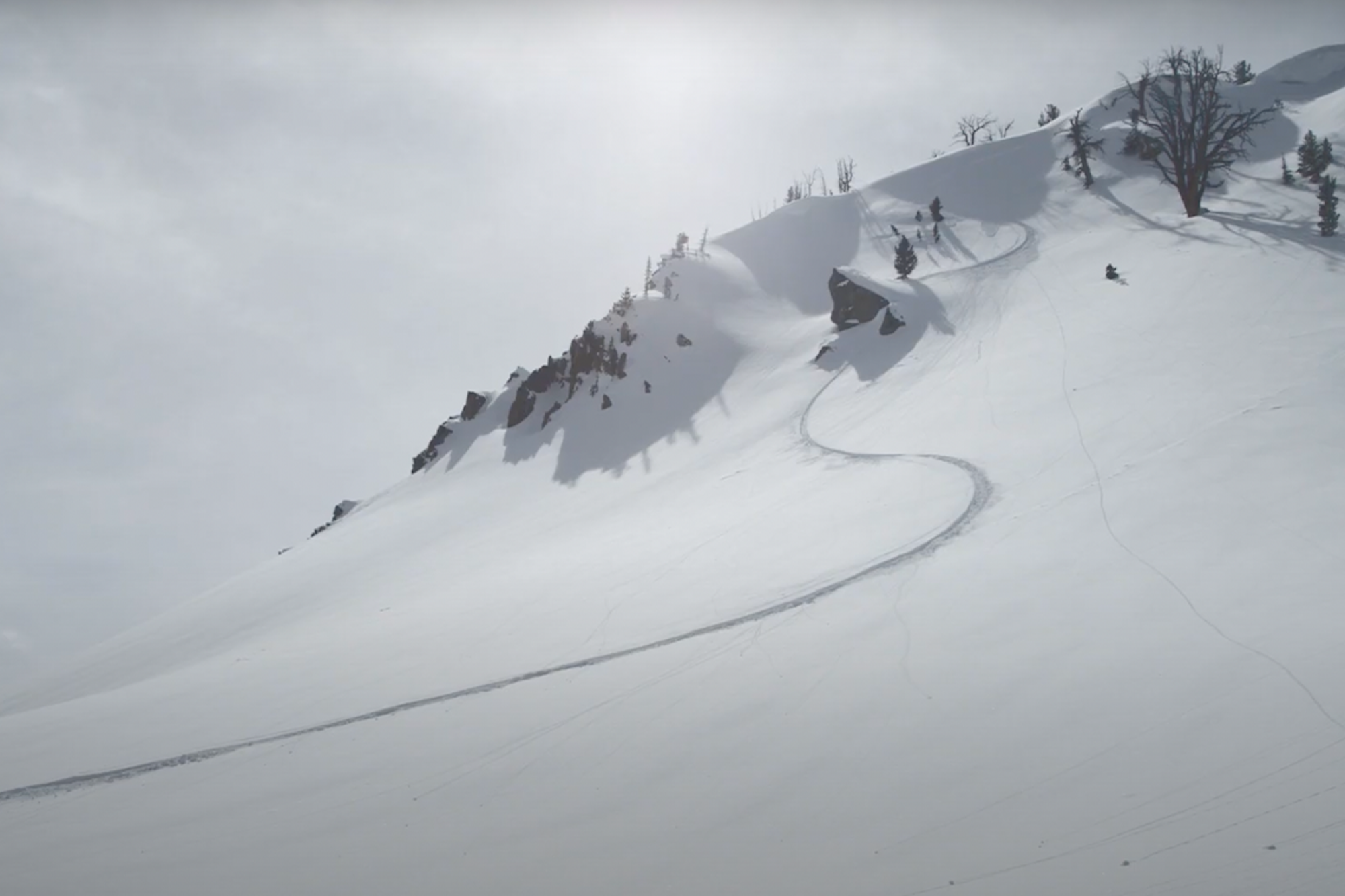 Movie Monday: "Drawn From Here" (2019) – Eric Pollard