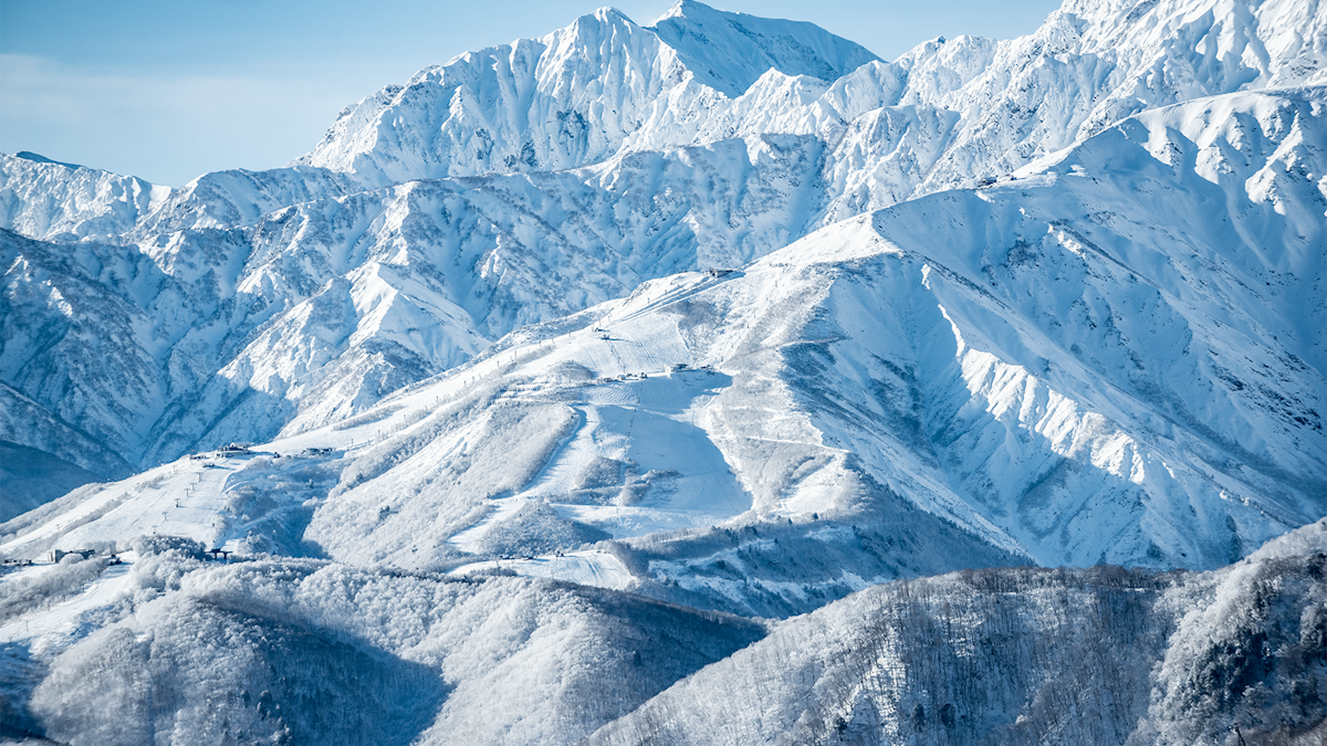In Search of the Kamoshika – A Journey Through Hakuba, Japan's Deep Snow and Rich Culture