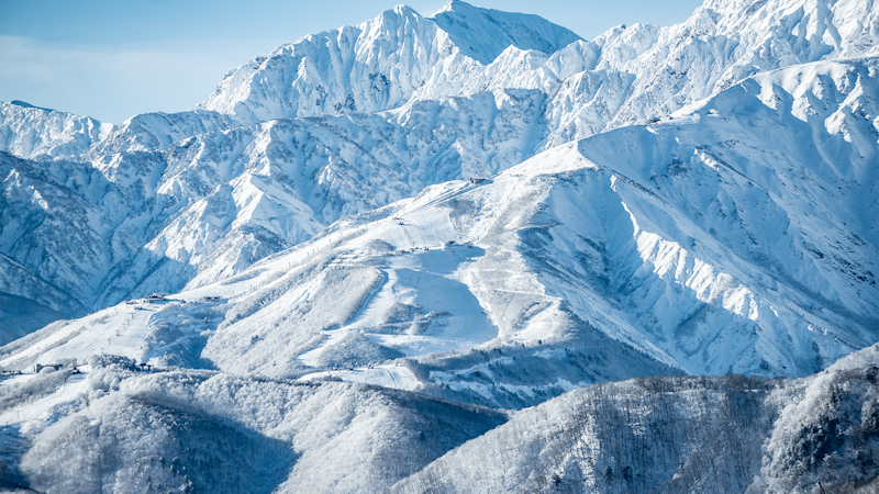 In Search of the Kamoshika – A Journey Through Hakuba, Japan's Deep Snow and Rich Culture
