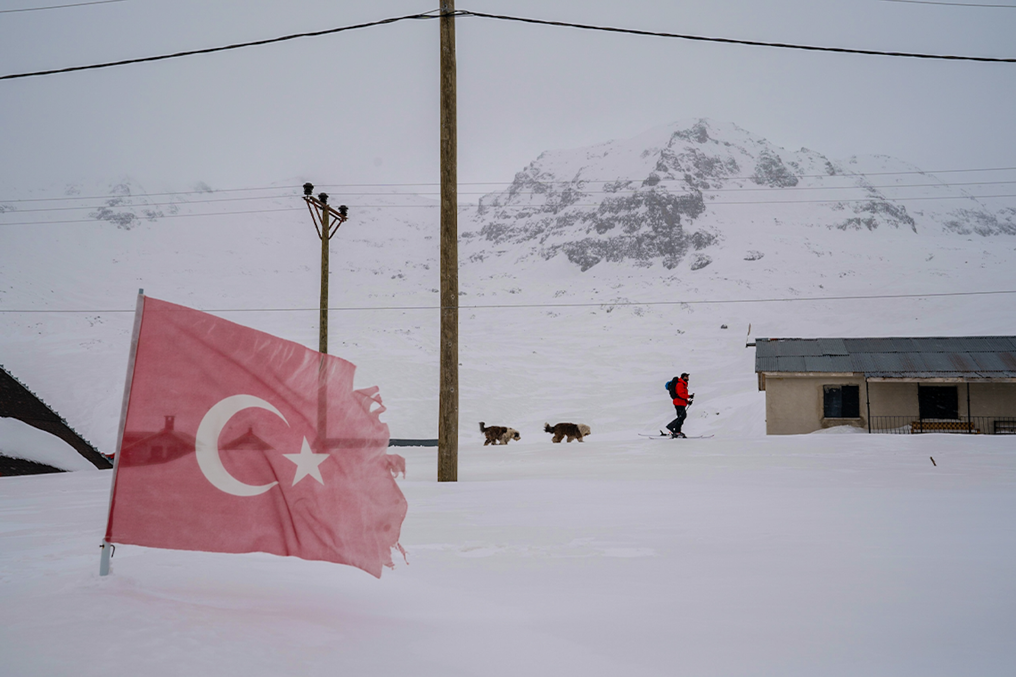 "Of The Black Sea" to Premier in Utah Alongside Films from Colby Stevenson and More