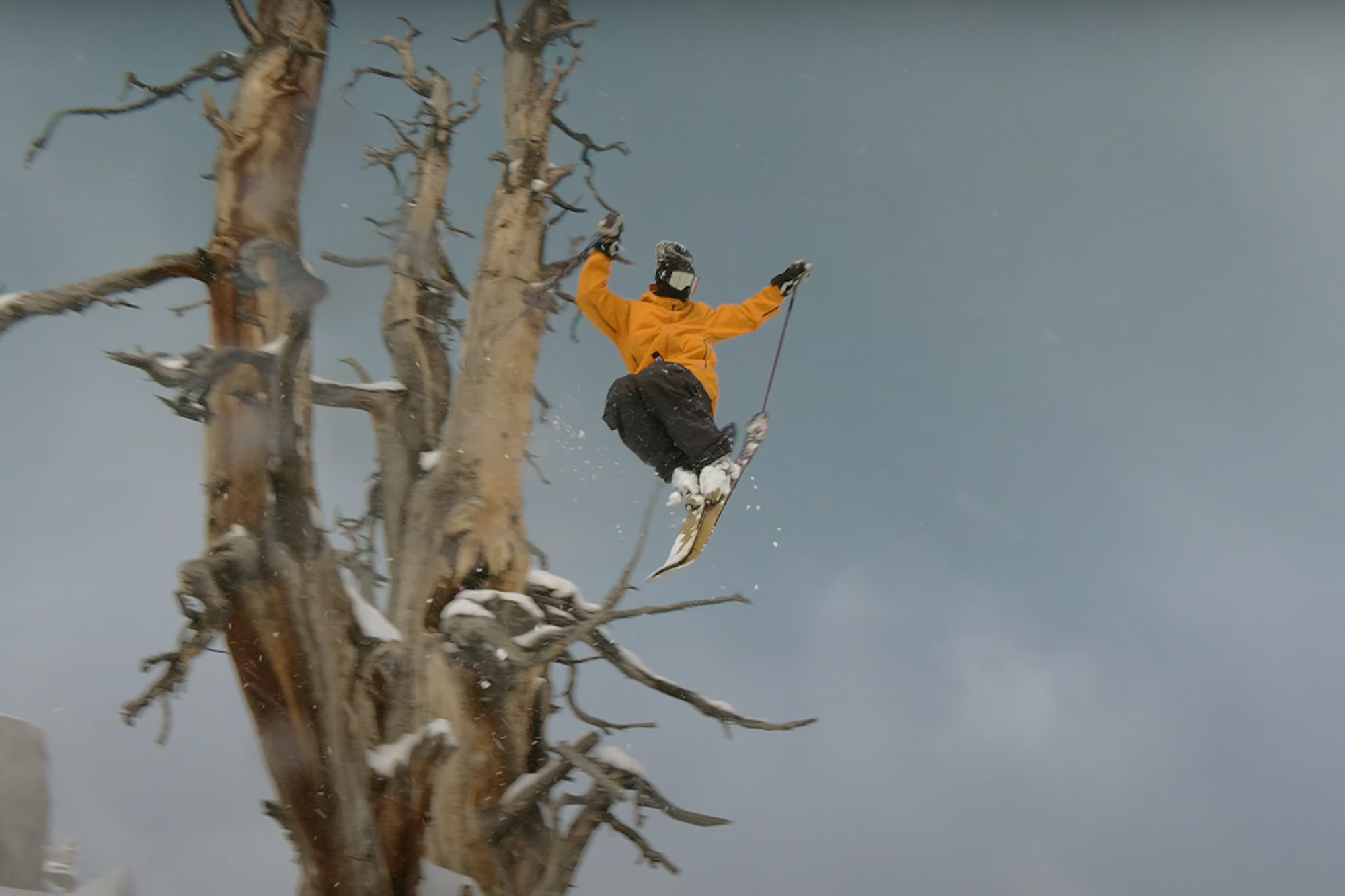 Level 1 Drops Trailer for "Wasteland" – 25th Anniversary Film Continues the Creative Legacy