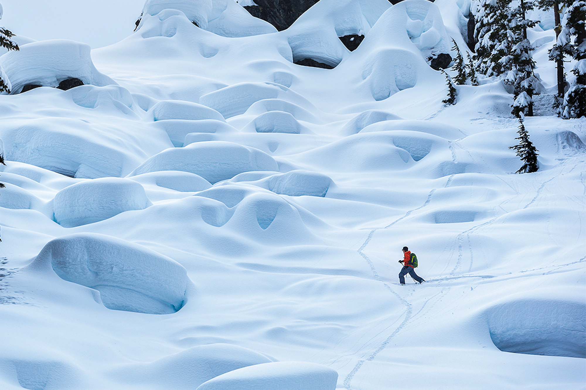 Movie Monday: 'Hoji' (2018) – Matchstick Productions