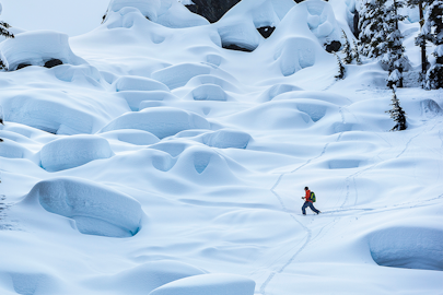 Movie Monday: 'Hoji' (2018) – Matchstick Productions