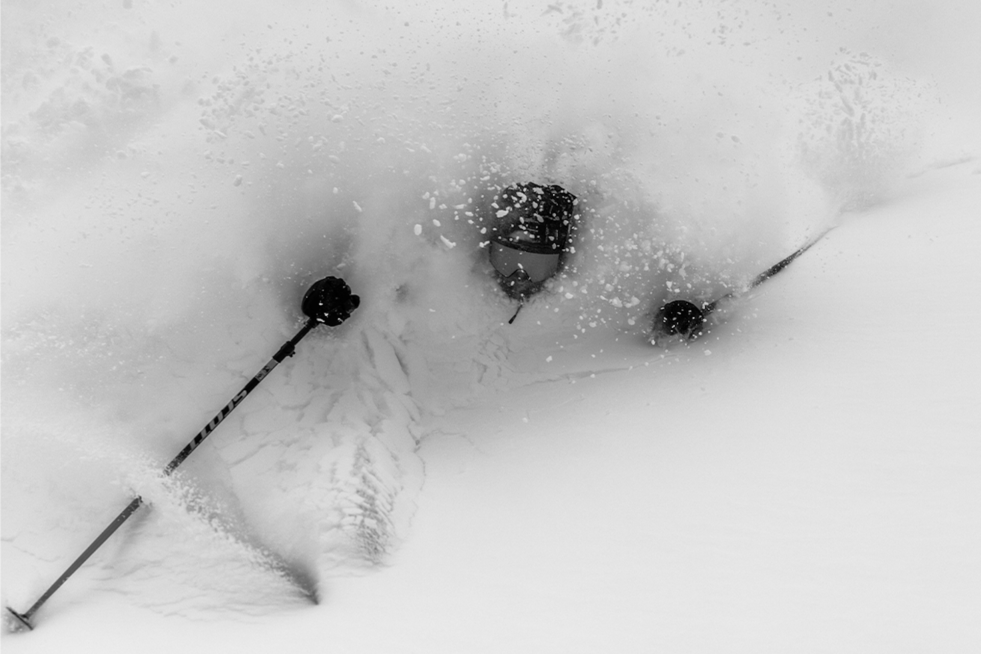 Editor's Pick – Winter 23/24 'Photo of the Week' Selections