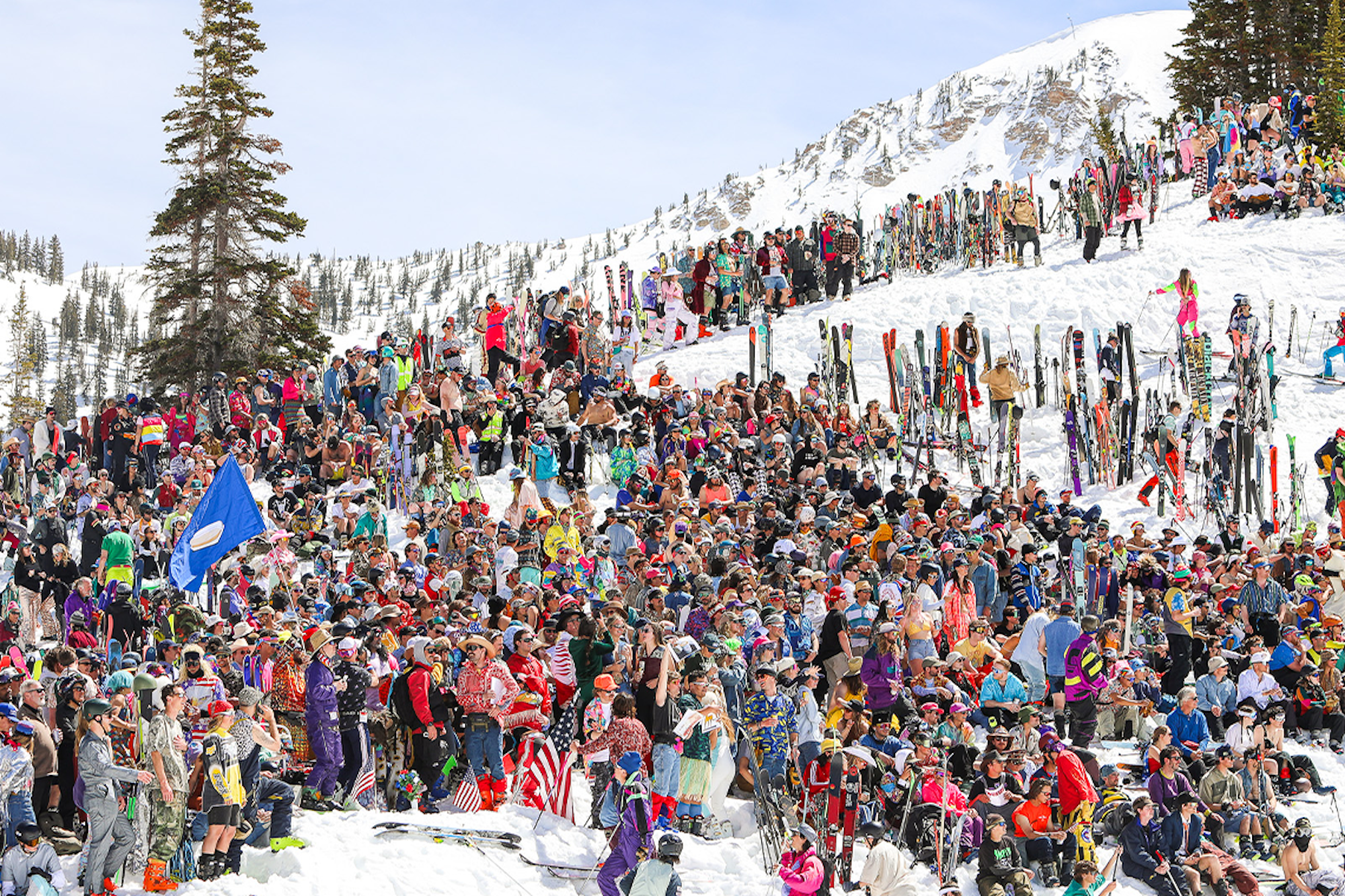 A Visual Odyssey of Alta's 2024 Frank World Classic