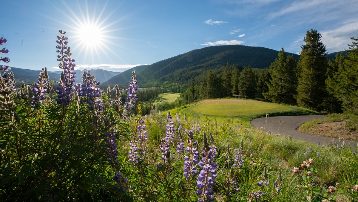 Stock up for Summer With Gear Swap Events and Trade-in Programs