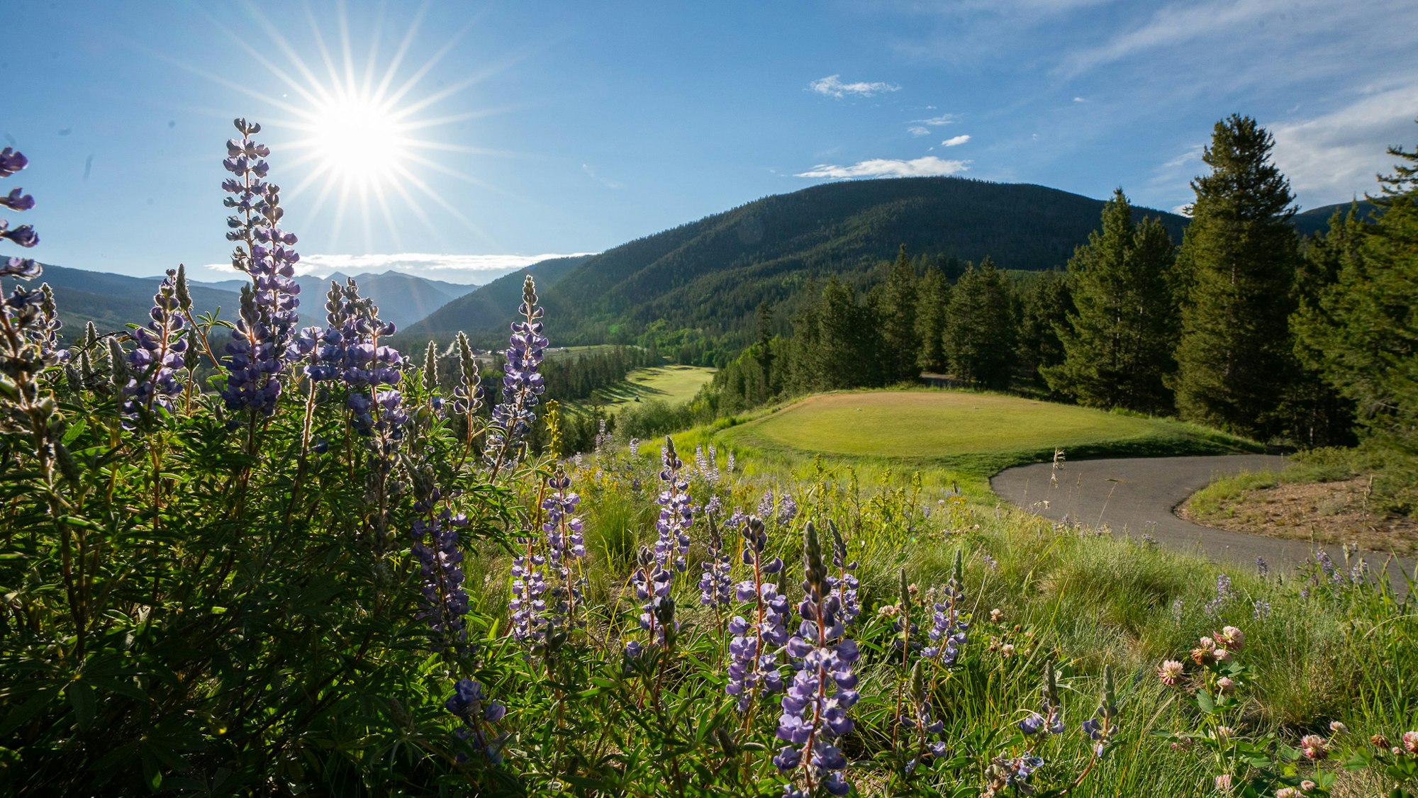 Stock up for Summer With Gear Swap Events and Trade-in Programs