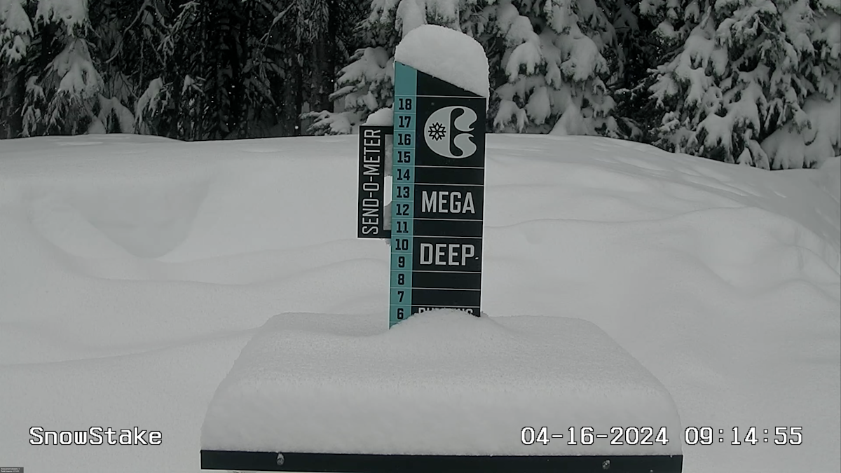 A Sneaky Spring Pow Day Graces Colorado Resorts