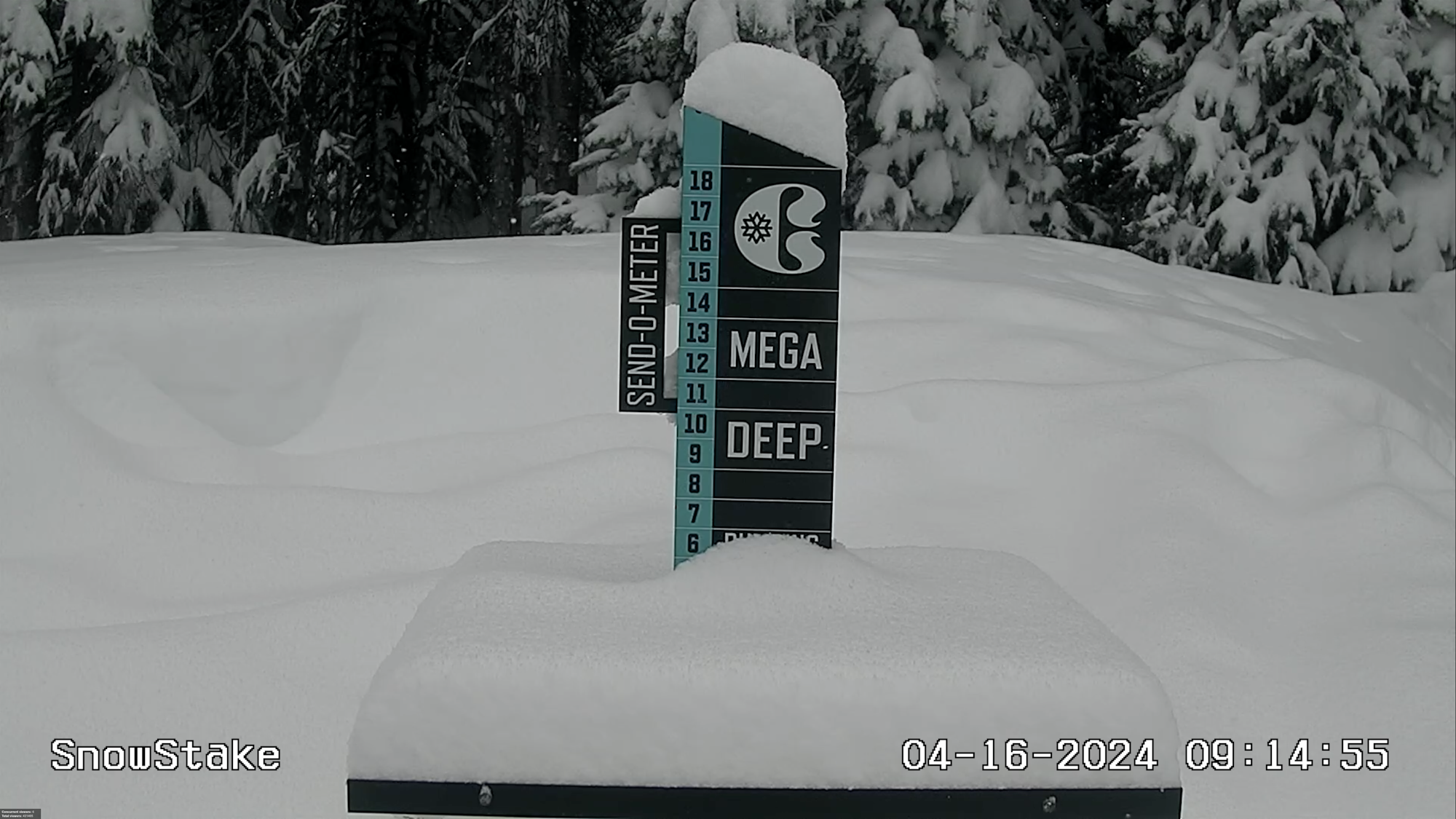 A Sneaky Spring Pow Day Graces Colorado Resorts