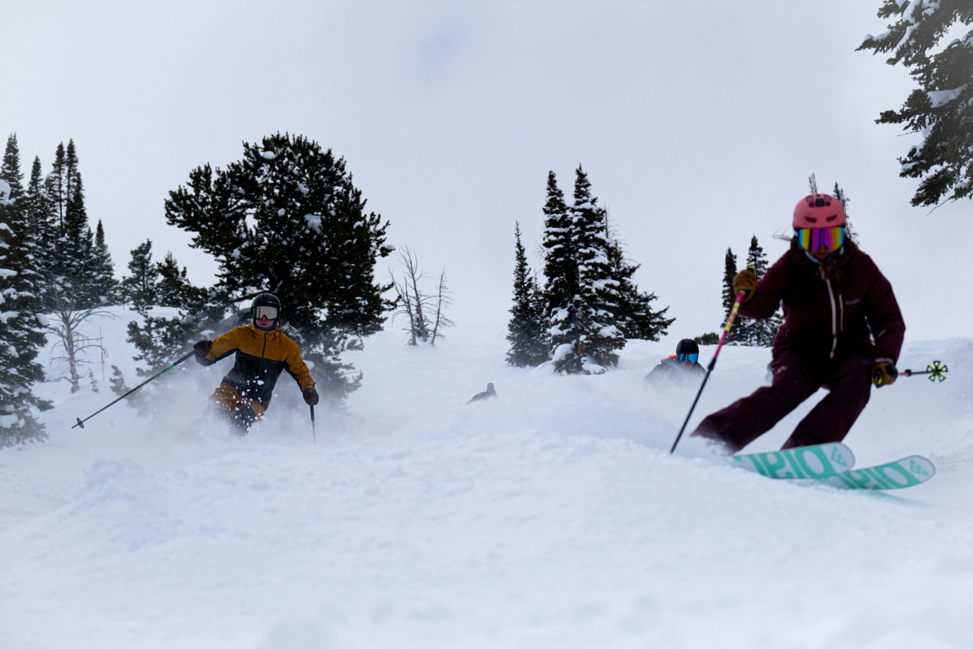 News Flash: Week of February 21, 2024