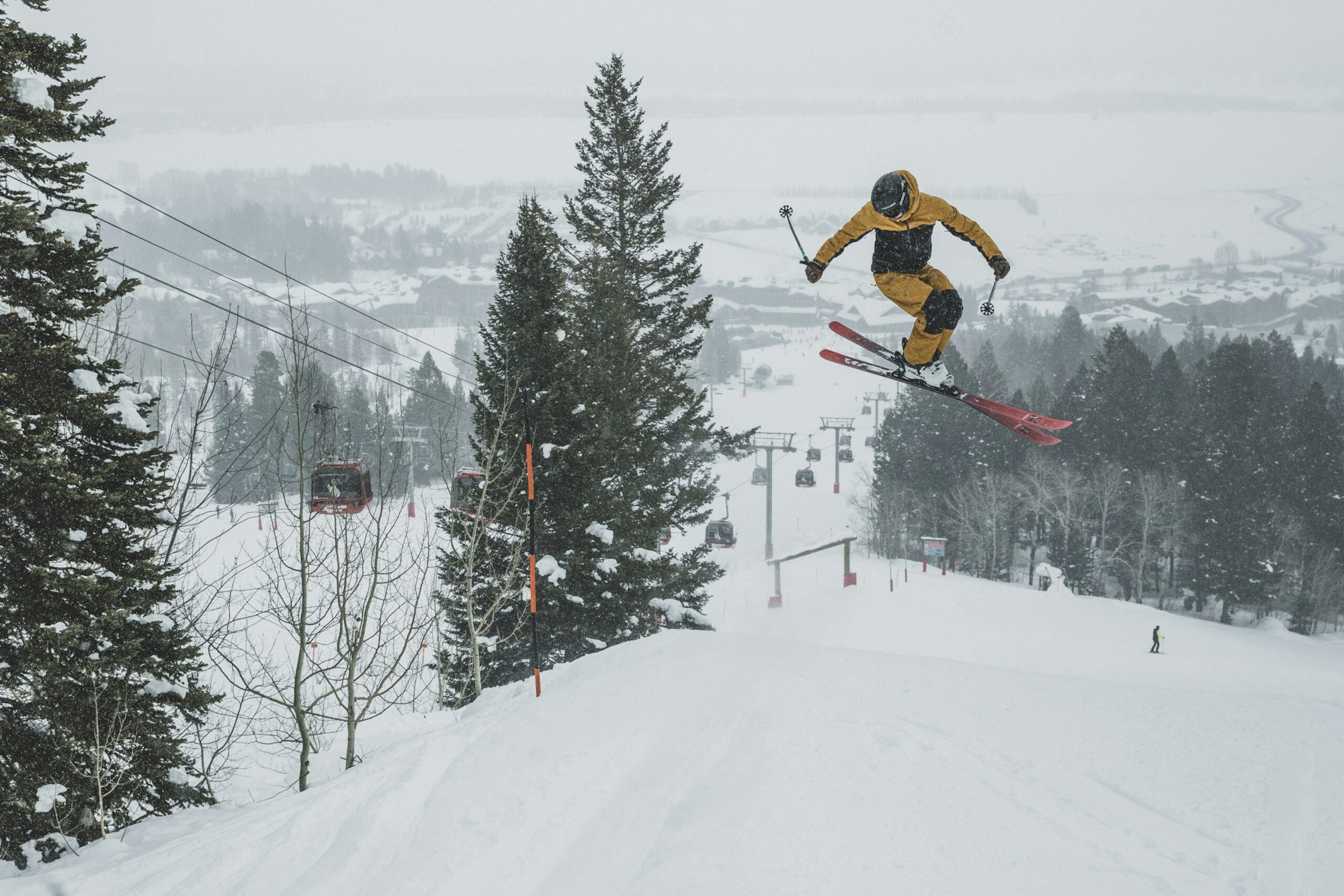 News Flash: Week of January 31, 2024