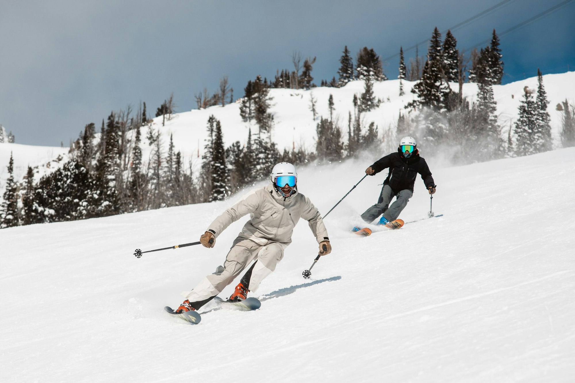 News Flash: Week of December 29, 2023