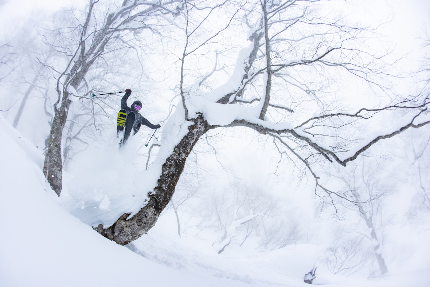 Skier Rachael Anderson jumping through trees in deep snow