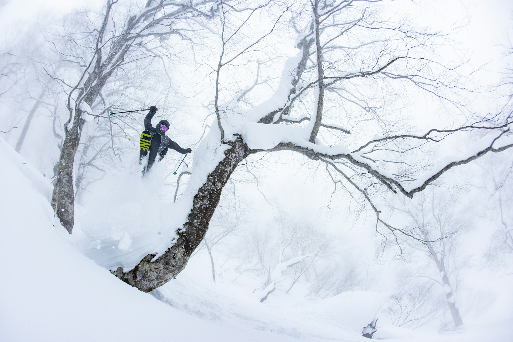 Skier Rachael Anderson jumping through trees in deep snow