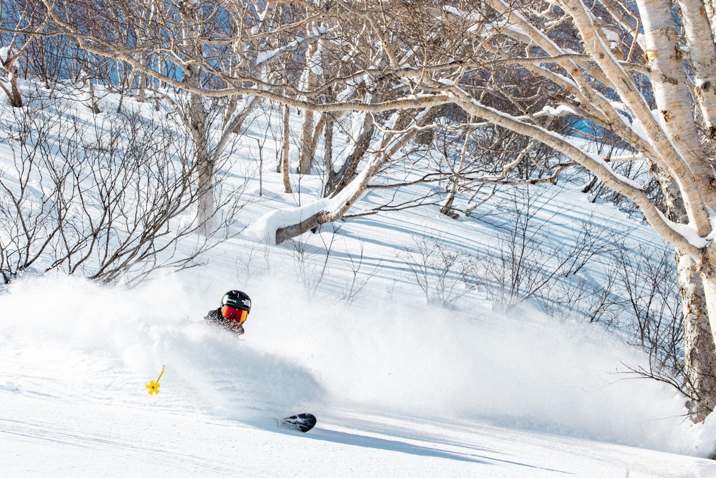 Skier Tom Wallisch skiing through deep snow in the woods