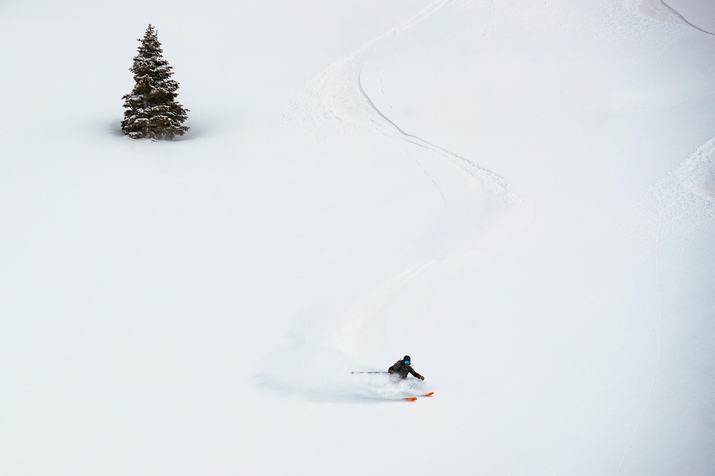 Skier turns through deep snow with one tree behind them