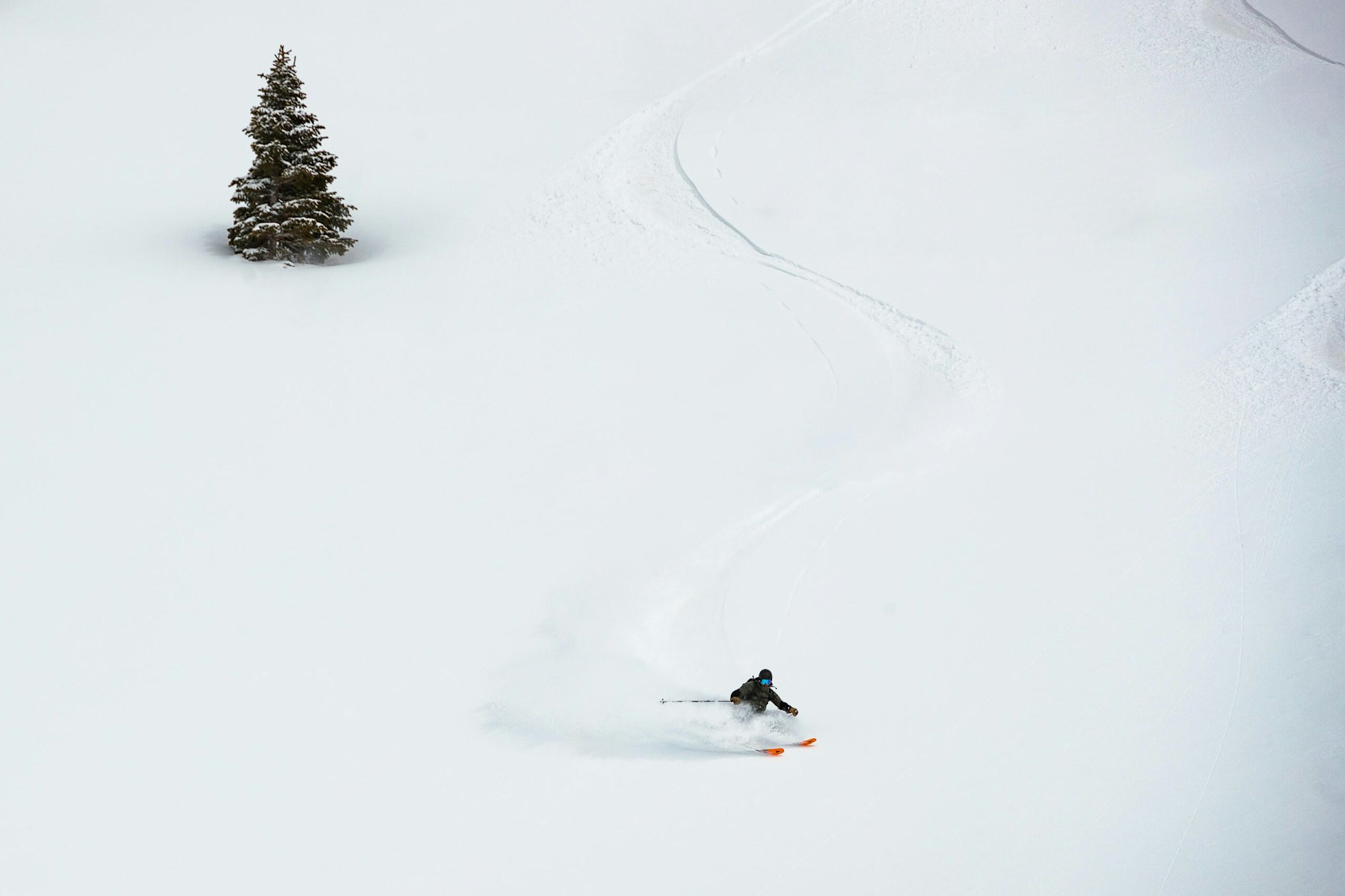 Skier turns through deep snow with one tree behind them