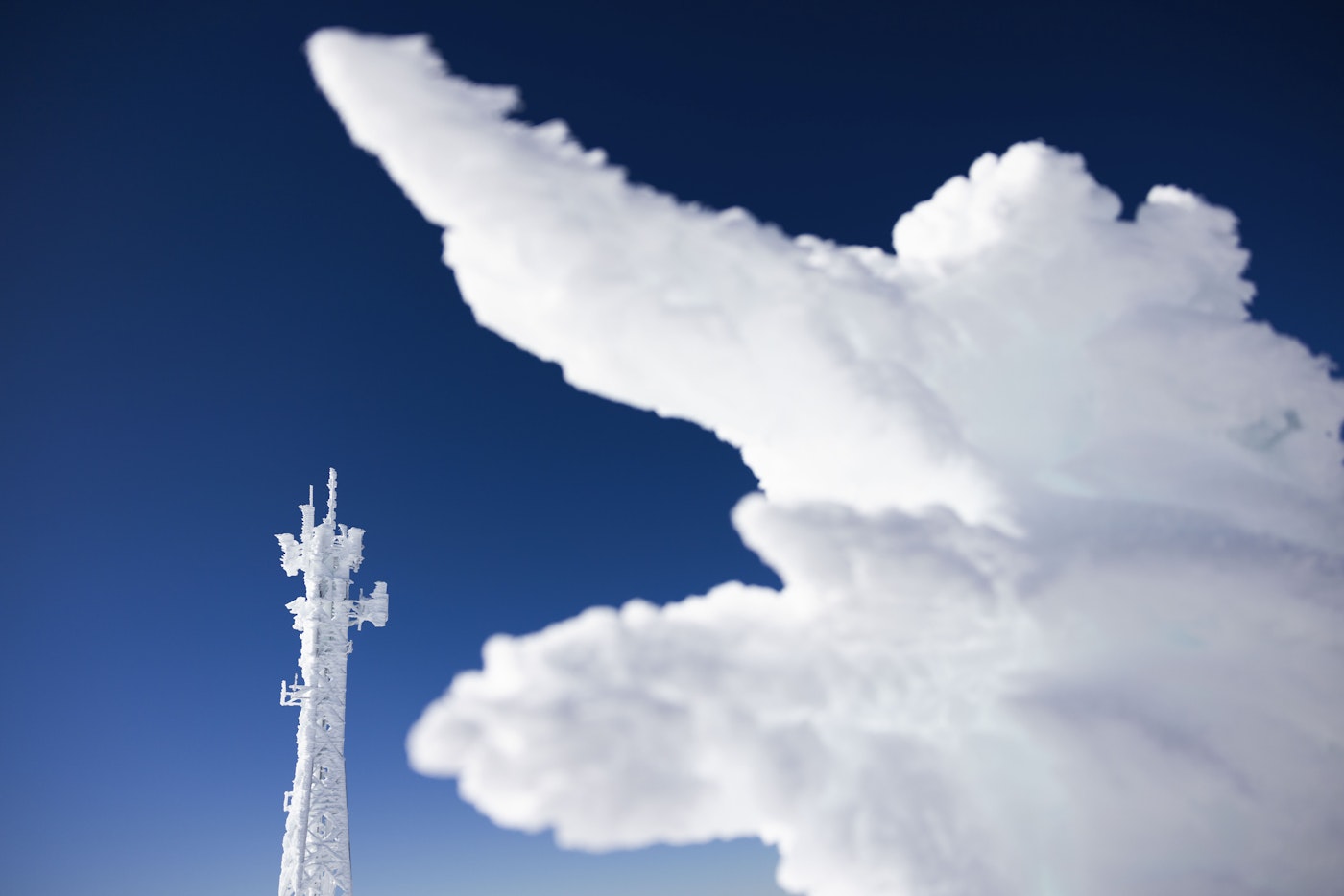 Snow crystaled metal structure