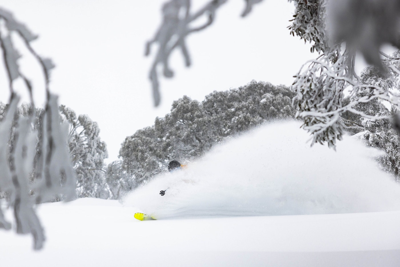 Skier turns in deep snow in a forest