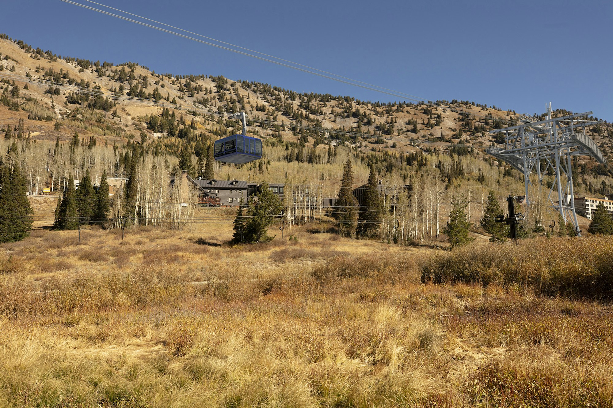 Foliage in the mountains with a gondola rendered into it