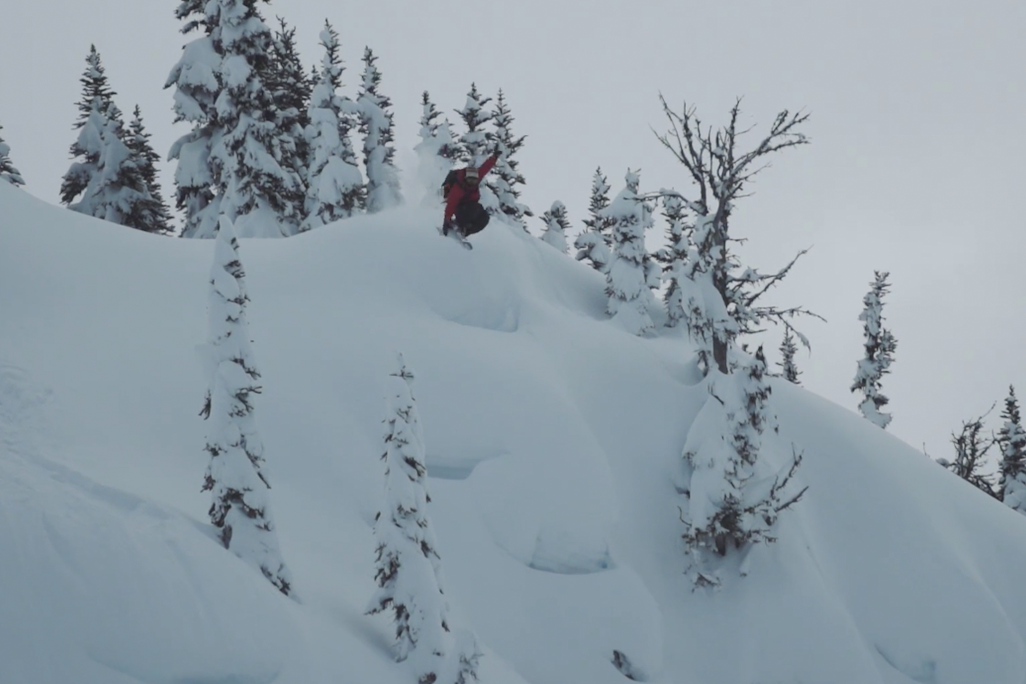 Chris Logan, Parker White, Sean Logan & friends present the art of the short film in 'The Big Picture'