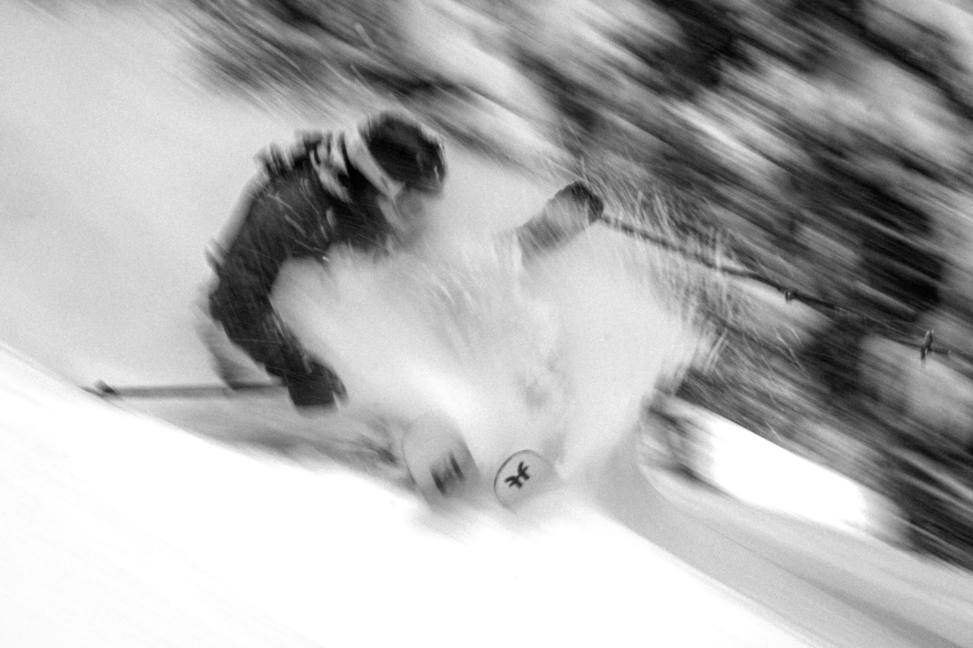 Skier Cody Cirillo skiing in deep powder snow in Revelstoke, BC
