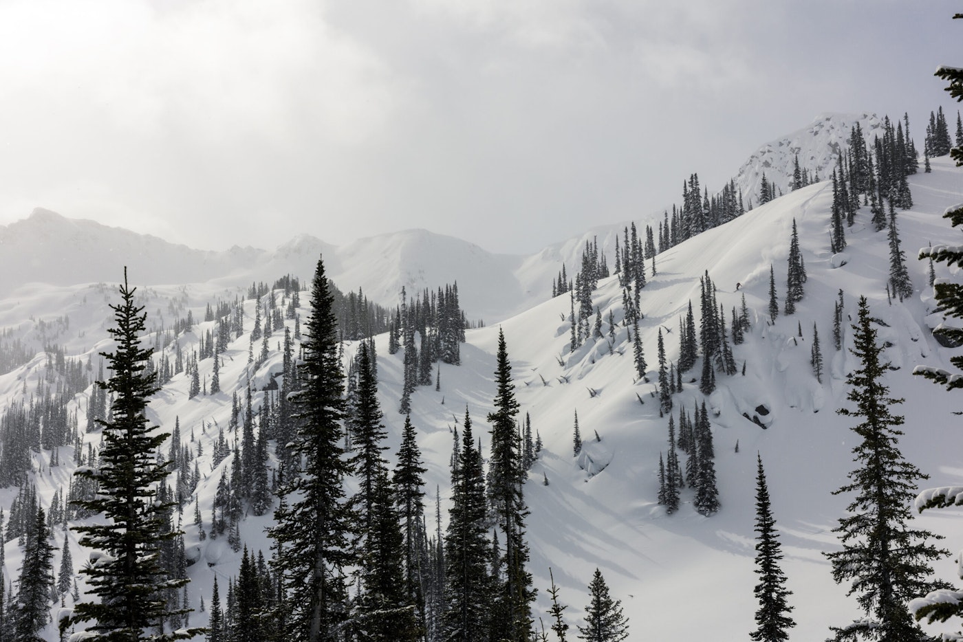 Skier Dennis Ranalter skiing through glades on the side of a snowy mountain in Sentry Lodge, BC