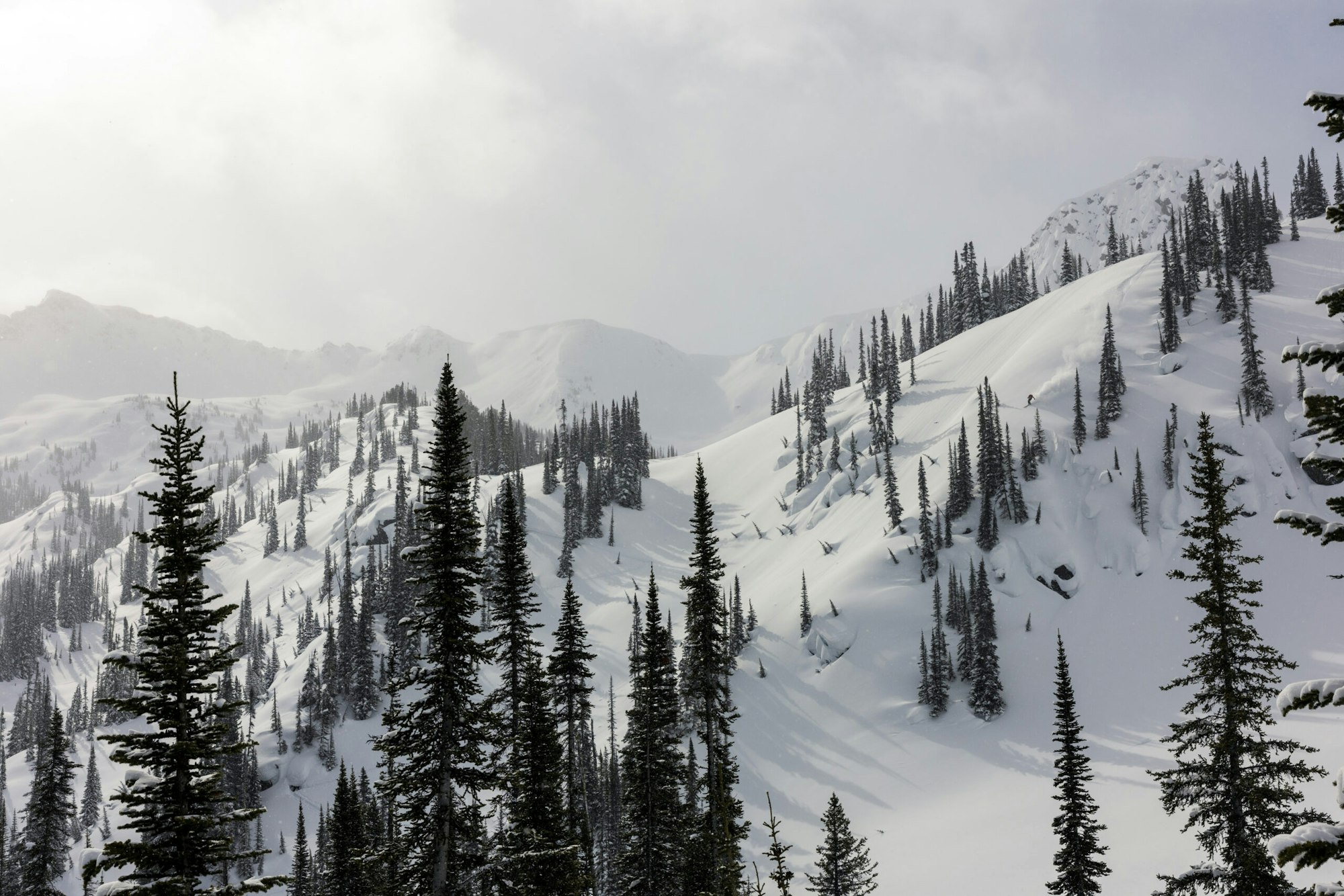 Skier Dennis Ranalter skiing through glades on the side of a snowy mountain in Sentry Lodge, BC