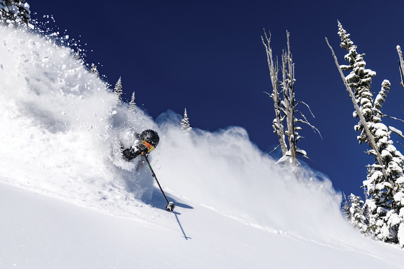 Skier Todd Ligare skiing in deep powder snow in a sparse forest in Retallack, BC