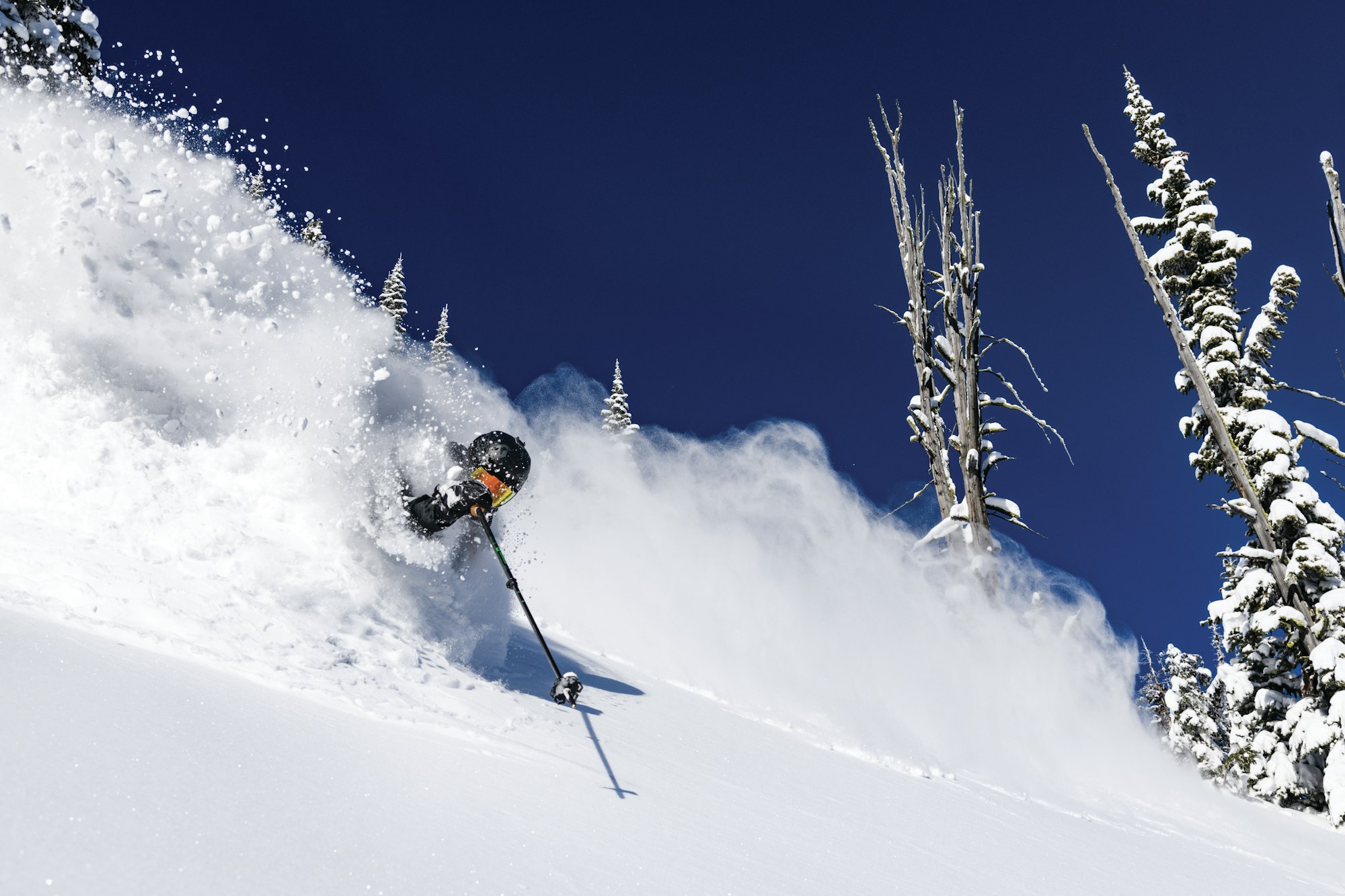 Skier Todd Ligare skiing in deep powder snow in a sparse forest in Retallack, BC