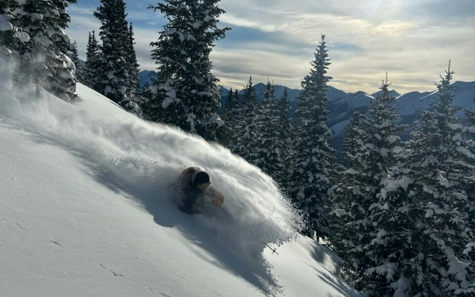 Skier turns in deep powder snow in snowy trees at Silverton Resort in Colorado