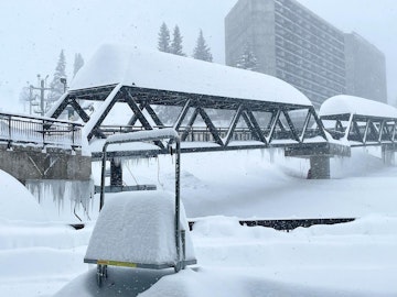 News Flash: Week of April 5, 2023