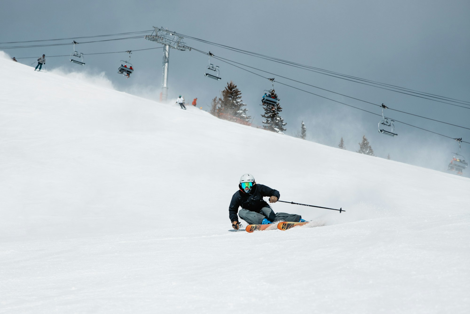 News Flash: Week of March 15, 2023