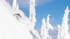 DESTINATION: Whitefish Mountain Resort
