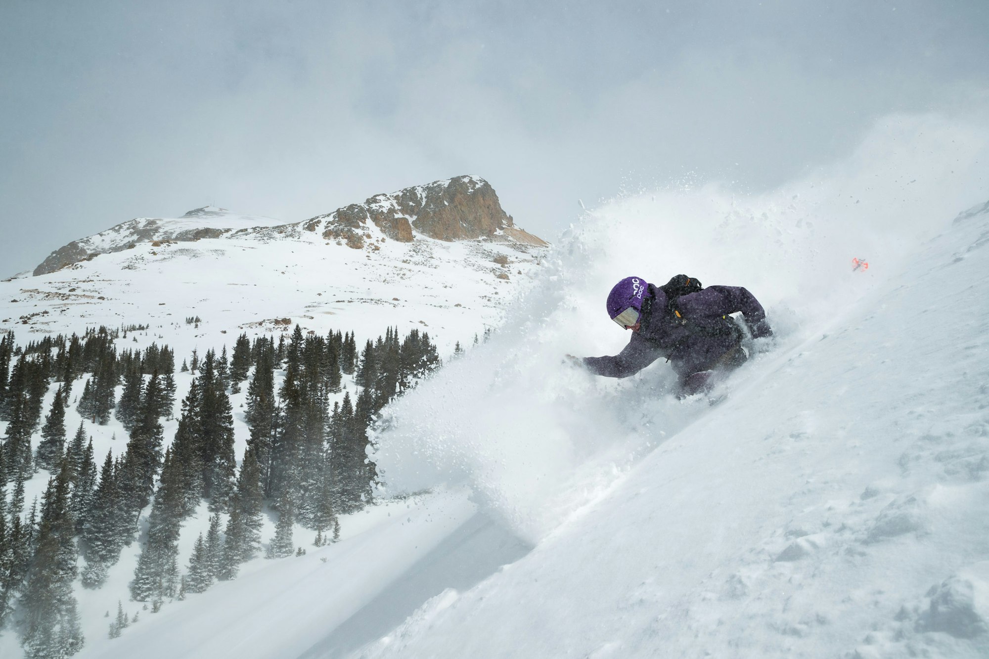 News Flash: Week of February 15, 2023