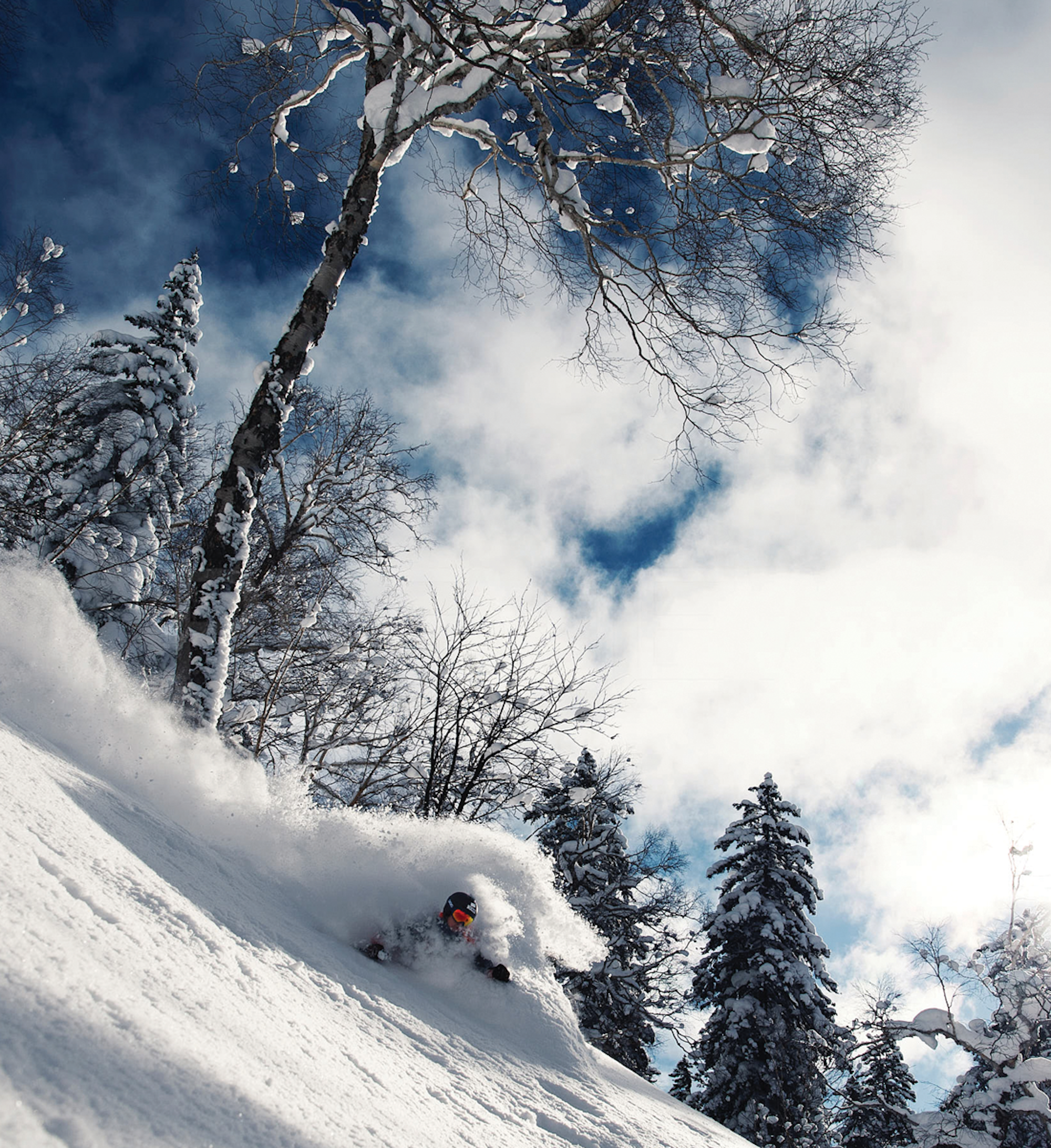 Skier Mattias Hardin skiing in extremely deep powder snow in Asahidake, JPN