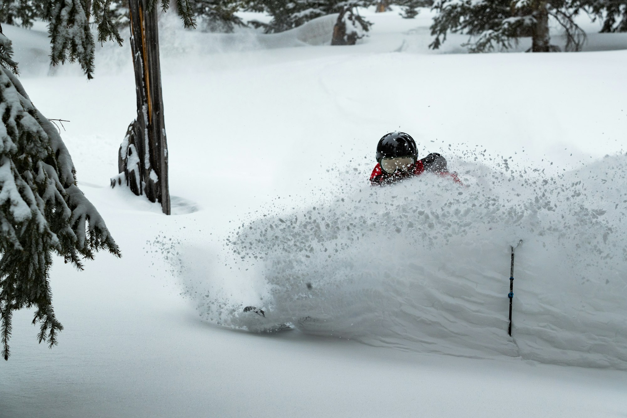 News Flash: Week of January 25, 2023