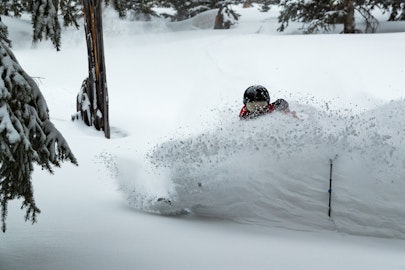 News Flash: Week of January 25, 2023