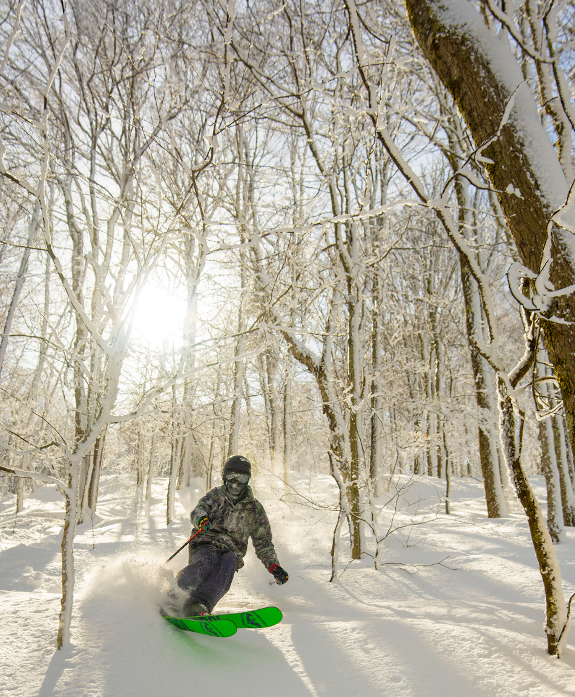 Skier skiing through tight trees