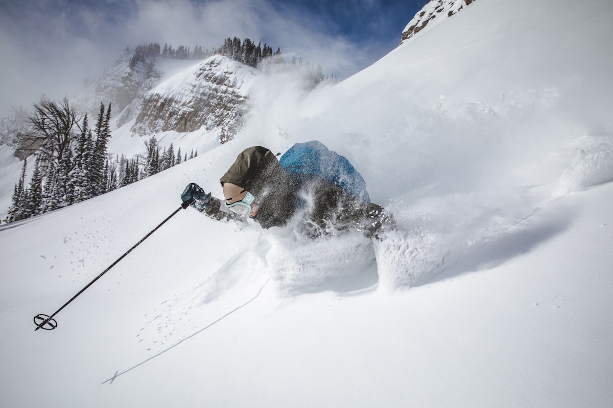 News Flash: Week of January 18, 2023