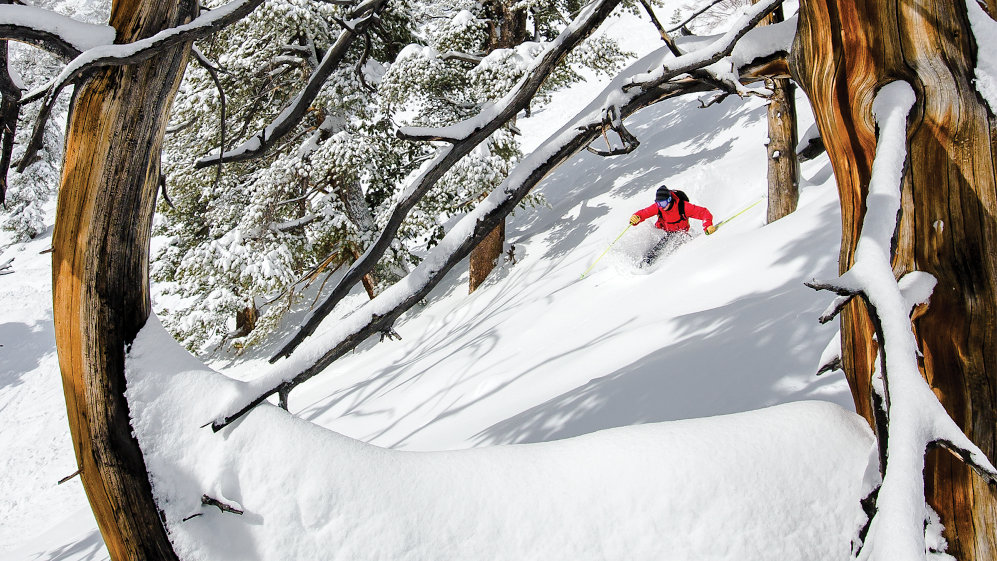 Skier Carlo Travarelli in Solitude, UT