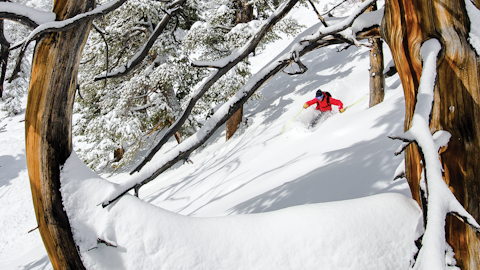 "Fantasy Ridge" It's not an adult store: It's one of Julian Carr's favorite zones at Solitude Mountain Resort