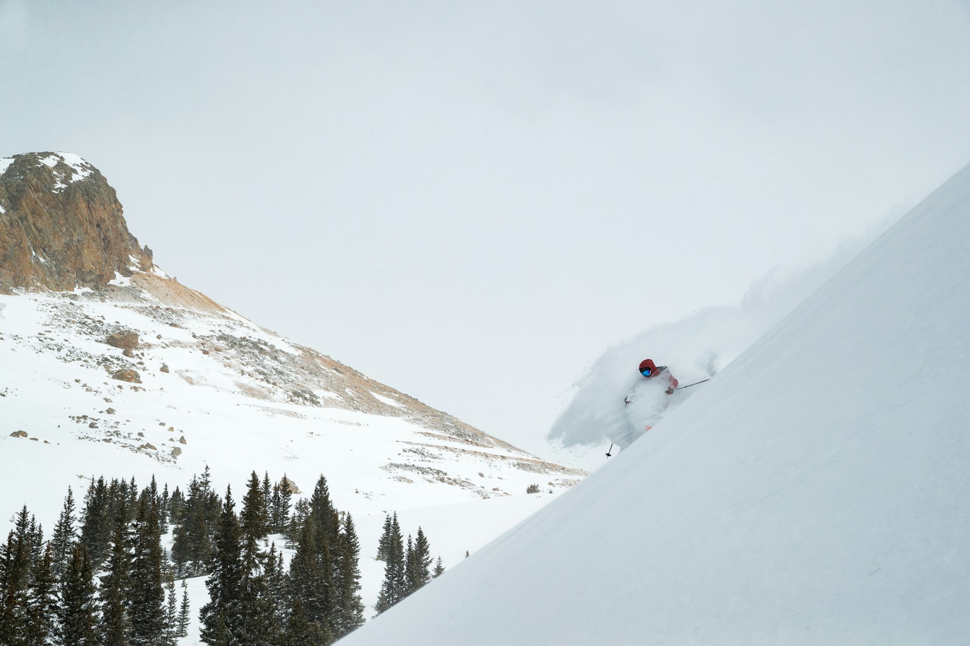 News Flash: Week of January 11, 2023