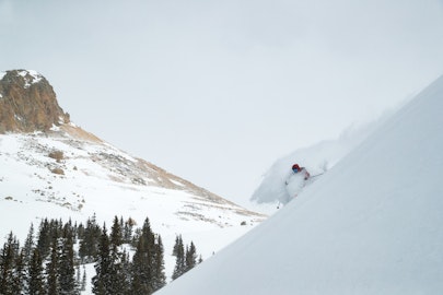 News Flash: Week of January 11, 2023