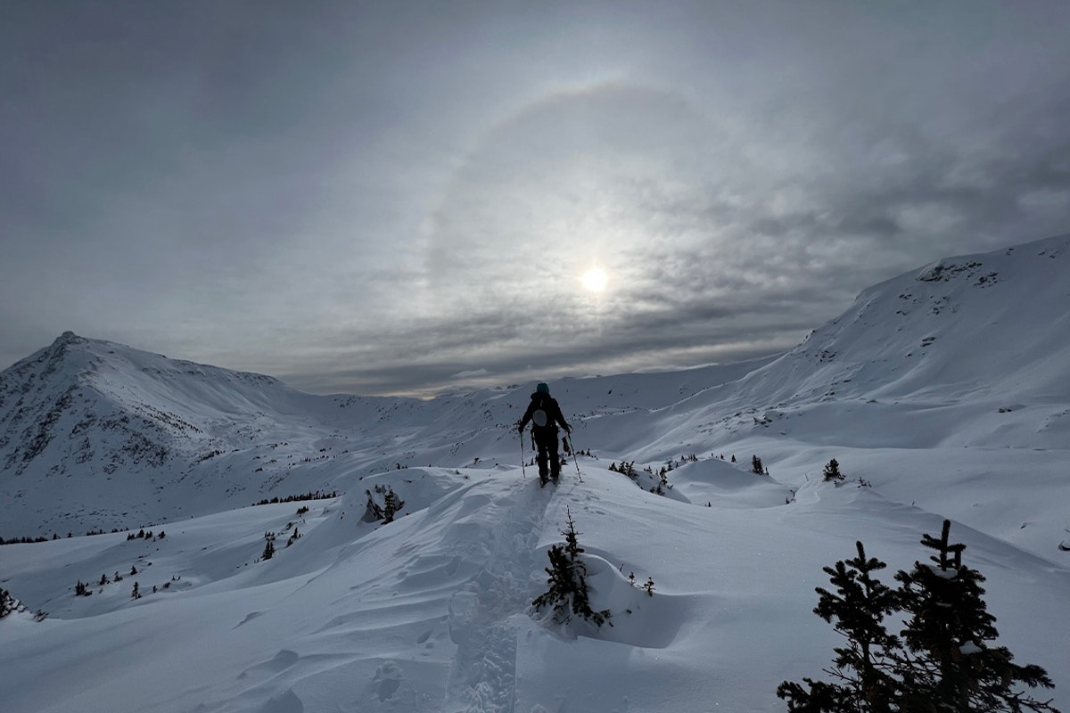 Trust your gut; the power in saying no