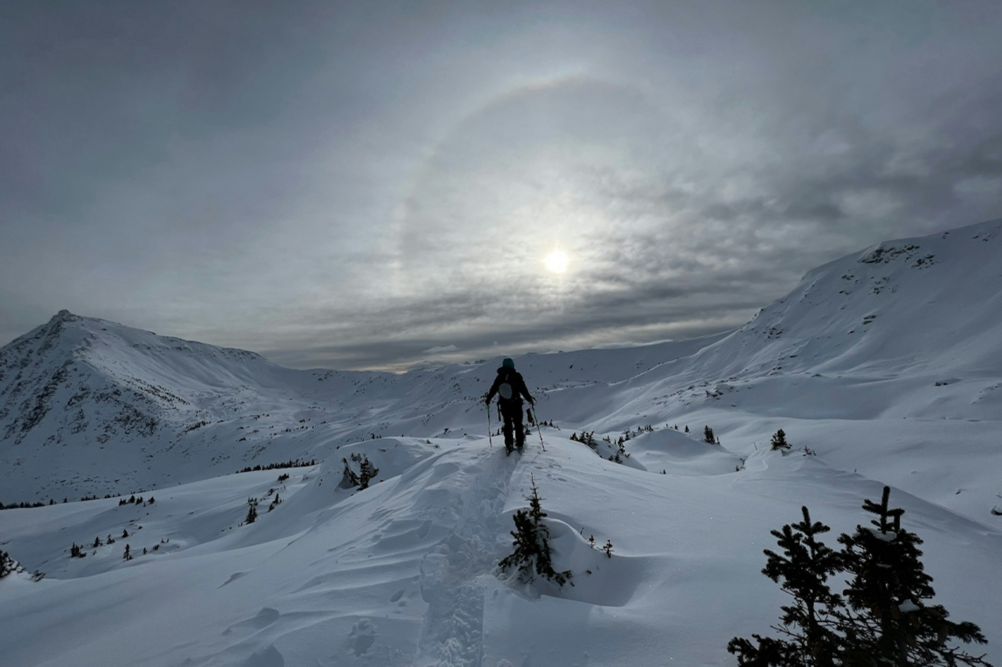 Trust your gut; the power in saying no