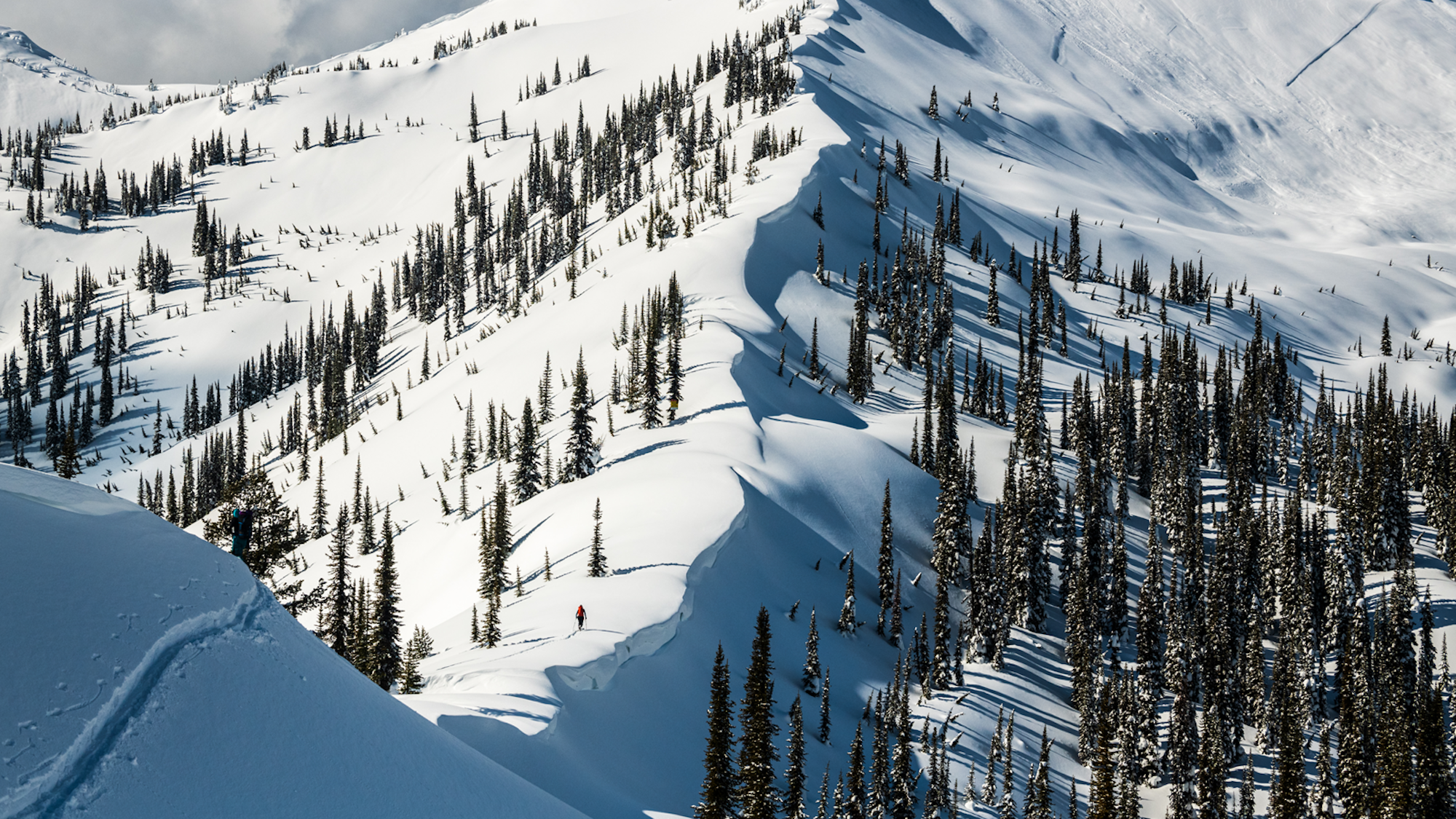 [Letter from the Editor] The end result is nothing without the process