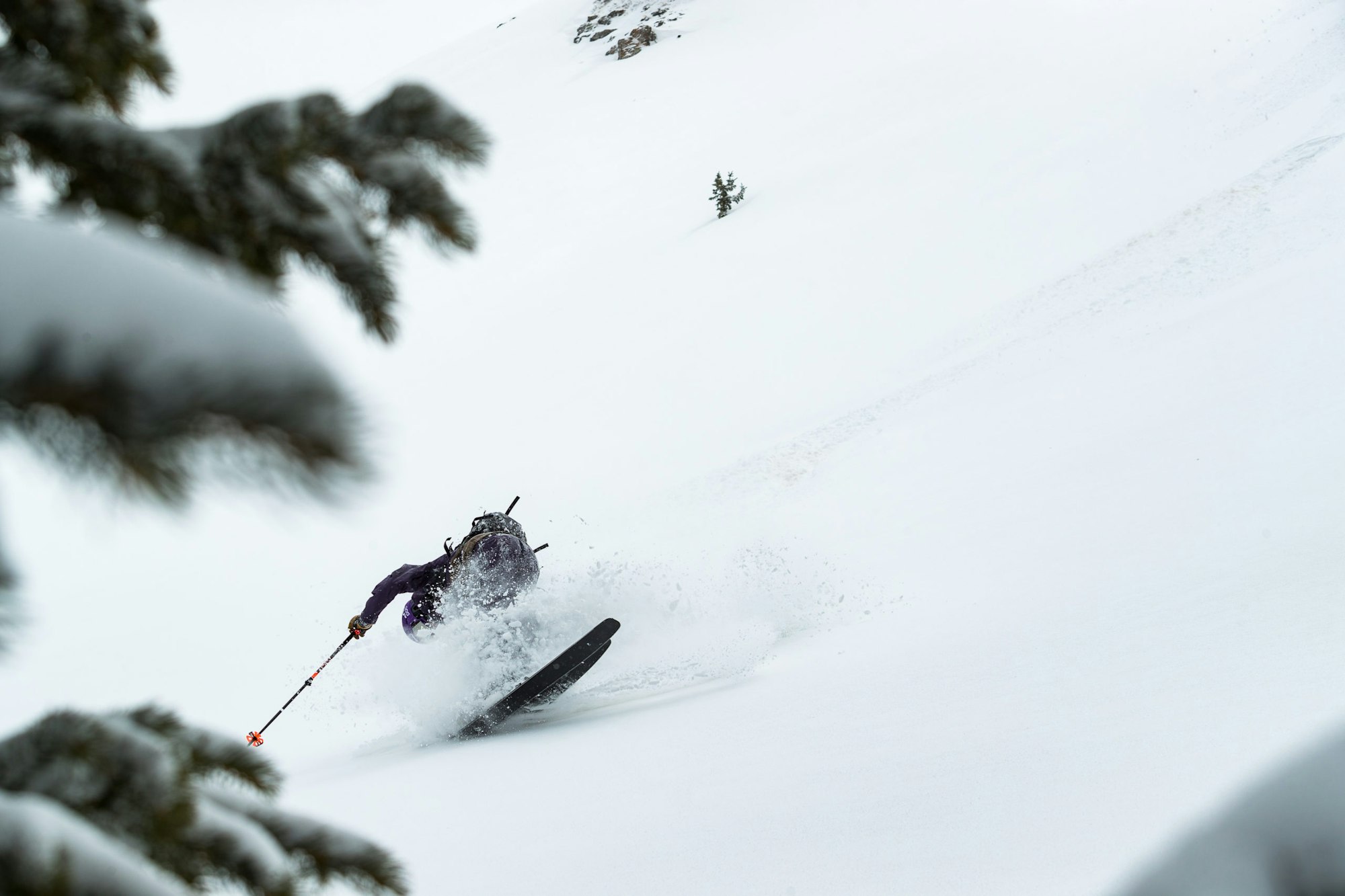 News Flash: Week of January 4, 2022